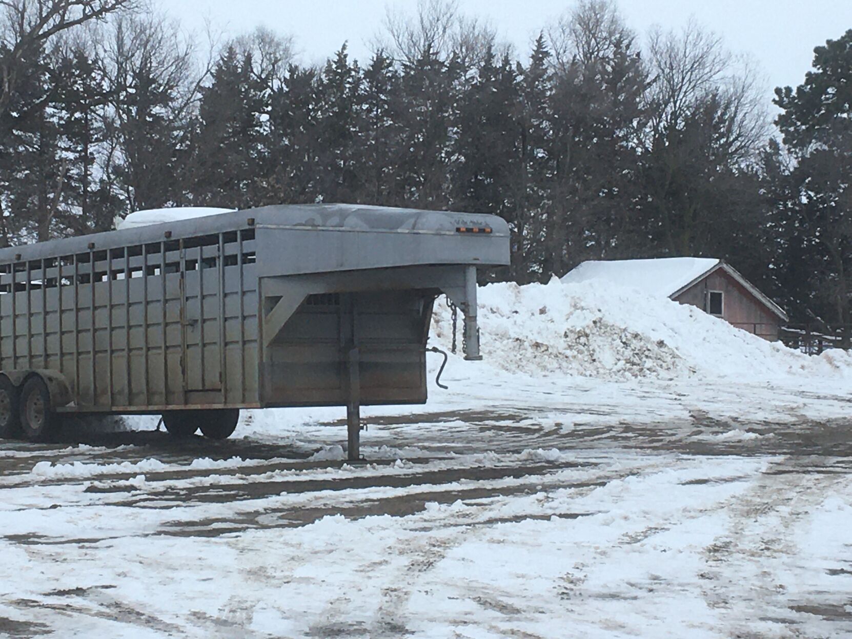 Peterson farm snow